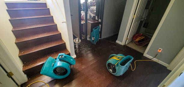 Best Sewage cleanup and water damage restoration  in Tigerville, SC
