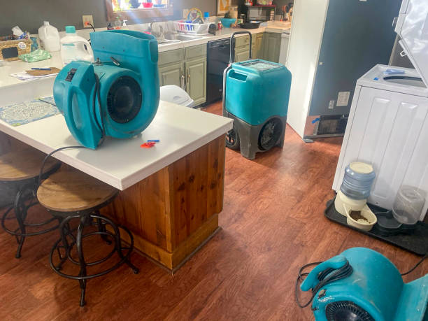 Best Ceiling water damage repair  in Tigerville, SC