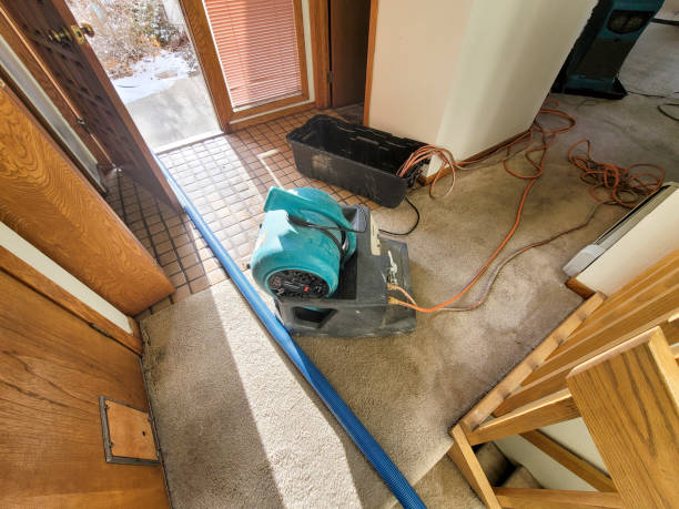 Best Professional water damage repair  in Tigerville, SC