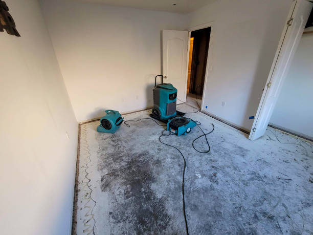 Best Mold removal after water damage  in Tigerville, SC