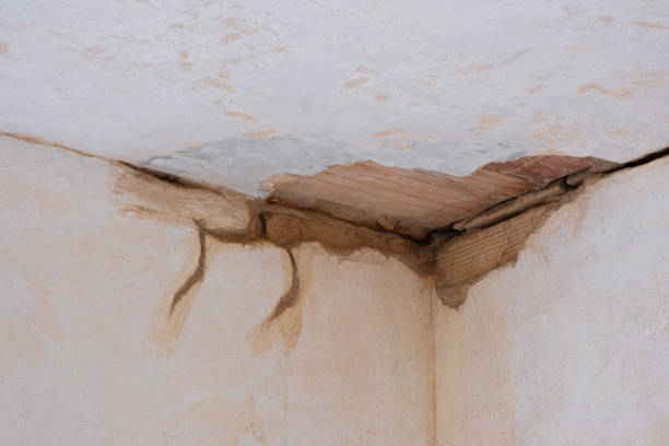 Best Water damage contractors near me  in Tigerville, SC