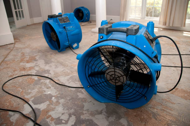 Best Mold removal after water damage  in Tigerville, SC